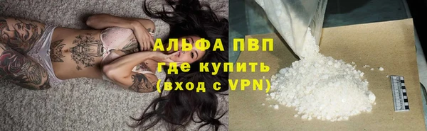 спиды Нефтекумск