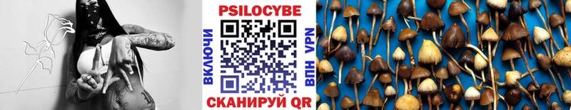 Псилоцибиновые грибы Psilocybine cubensis Купить где Прокопьевск